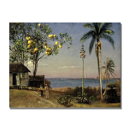 Albert Biersdant 'Tropical Scene' Canvas Art,18x24